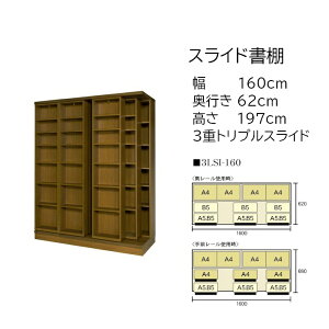 {̑ʎ[ XChI (XCh{I) @ 197cm 160cm 3dXCh 3LSI-160 y󒍐Yiz