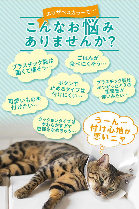 楽天市場 おまけ付き 即日発送 エリザベスカラー Lサイズ 猫 犬 ソフト クッション ドーナツ 柔らかい 傷舐め防止 術後 ドーナツ 首周り 軽量 ストレス軽減 軽量 傷口保護 モリチュウネットショップ