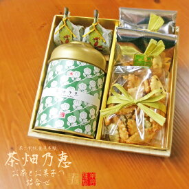 お歳暮に お菓子とお茶 和洋折衷 詰合せ 喜ばれる セット 内祝 出産内祝 誕生日プレゼントに 「茶畑乃恵　No，9」 【茶葉／ティーバッグ＊選べるギフト】 おすすめ茶＆和洋菓子3種 ひとくち羊羹 米菓 マドレーヌ 日本茶専門店 お茶のモリタ園