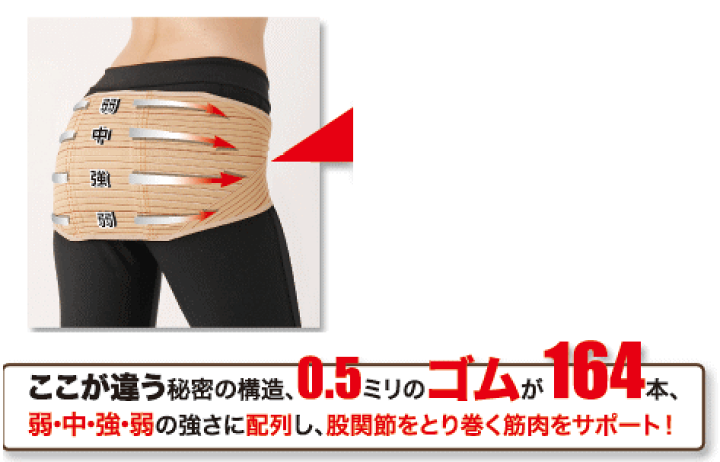 楽天市場】骨盤ベルト ヘルスパワー バランサーバンド 腰痛
