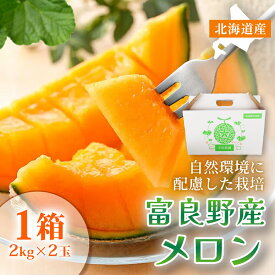 【 富良野産メロン 特秀品 特大玉 2玉入り / 4kg 】 北海道 メロン 産地 富良野 赤肉メロン フルーツ 北海道メロン 2個入り 産地直送 メロン 北海道 富良野 特秀 富良野メロン 2個入り 大玉 特秀品 特大 メロン 農家 直送 富良野 大玉 甘いメロン 高級フルーツ ジューシー