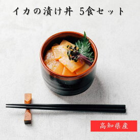 【送料無料】イカ漬け丼 5食セット 海鮮丼 海鮮漬け丼 海鮮茶漬け 出汁茶漬け 漁師まかない飯