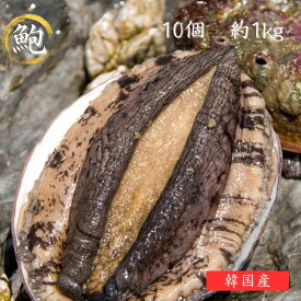 送料無料 あわび 1個約100～120g（10個セット） 鮑 おつまみあわび アワビ即日 バーベキュー BBQ お取り寄せグルメ 海鮮 お取り寄せ 誕生日 内祝い 出産内祝い 快気内祝い 戌の日 安産祈願 海鮮丼 bbq 高級食材 五つ星高級旅館用達 高級 貝 炊き込みご飯 煮アワビ