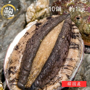   1100`120gi10Zbgj  ܂݂ Ar o[xL[ BBQ 񂹃O CN  a j oYj Cj ̓ YF CN