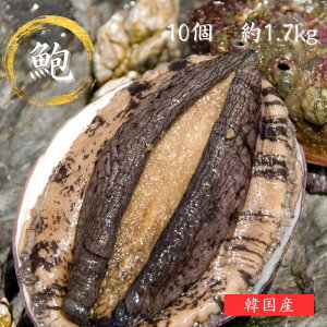   1160`180gi10Zbgj  ܂݂ Ar o[xL[ BBQ 񂹃O CN  a j oYj Cj ̓ YF CN