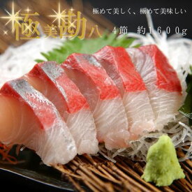 カンパチ刺身 カンパチ 4節 須崎 カンパチ お刺身 柵 さく 刺し身 さしみ カマ カンパチ 養殖 カンパチ 半身 カンパチ片身 カンパチ フィレ 海鮮丼漁師丼 漁師のまかない 海鮮漬け丼 送料無料