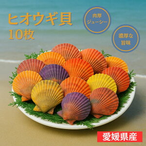 qIEML10Zbg qIEML Q  qIEML m qIEML BBQ qIEML MtgqIEML ӂ邳Ɣ[ qIEML o^[Ă qIEML O^ CNlĂ CNo