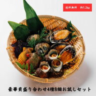 豪華 海鮮 貝 海鮮バーベキュー セット 盛り合わせ お試しセット 4種8個 サザエ 取り寄せ 鮑 冷凍 アワビ…