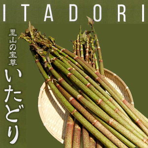 ǂ@500g^Ⓚց^Ђ^t̎R؁^R؂̗^m^y^XJ|^C^h^ς  