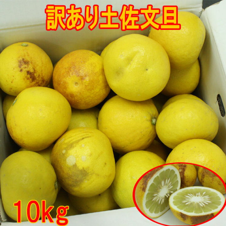 楽天市場】訳あり土佐文旦10kg 追熟で旨味UP! ご家庭用にサイズS〜2L 