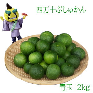 l\Ԃォ 2kg m 芹 ܂ k Ԃ܂ y uVJ Busyukan