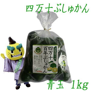 l\Ԃォ 1kg m 芹 ܂ k Ԃ܂ y uVJ Busyukan