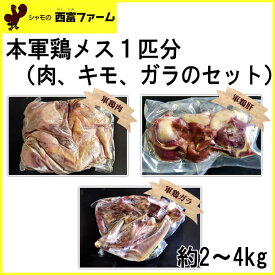 西富ファーム　本軍鶏メス1匹分　約2〜4kg／冷凍便／しゃも／坂本龍馬