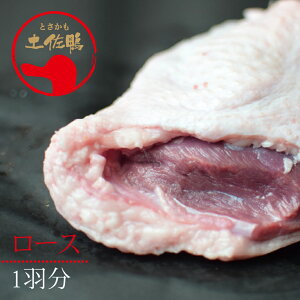 土佐鴨ロース肉(冷凍)1羽分/土佐鴨・土佐ジロー飼育研究会/かも/カモ