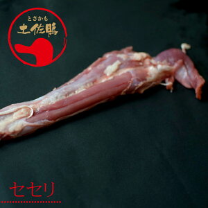 y ZZiⓀj500g^yEyW[猤^^J^
