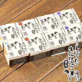 四万十の搾りたて生乳アイス（定番フレーバー）8個入セット/(フレッシュみるく・バニラ・チョコ・ブルーベリー/各2個) あぐり窪川　高知 四万十 道の駅