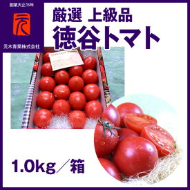 厳選 上級品[A-048]【市場直送便】徳谷トマト／1.0kg／冷蔵便／元木青果／フルーツトマト／高知／産地直送／プレゼント／贈答／御祝い