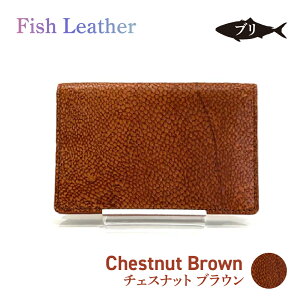 hytBbVU[/uzLTCY c7.0×11×1.5~2.0cmij fish leather ܁iԂj v MtgbsOOK a LO AEj w wƂ  TXeiu