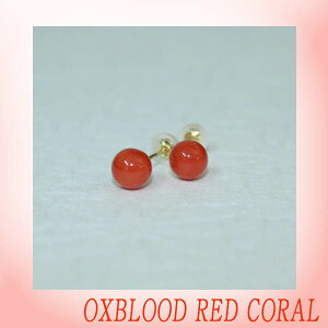 ΎX ԎXsAXiWFjۋʁ@6mm/TS//R[/Oxblood red/Corallium japonicum