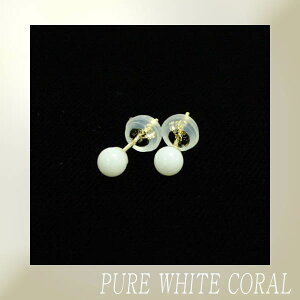 ΎX XsAXyۋʁ@4mmz/TS//R[/pure white/Corallium konojoi