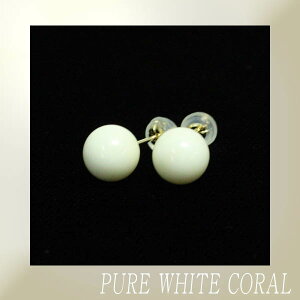 yΎXzXsAXyۋʁ@8mmz/TS//R[/pure white/Corallium konojoi