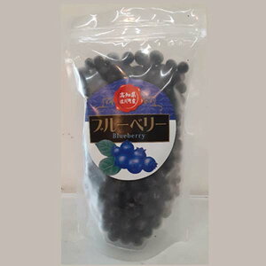 ブルーベリー 冷凍 約1kg 1パック / 高知県 佐川町 国産 手摘み クール冷凍便 果実