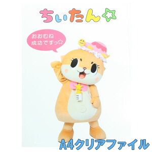 񁙑SgNAt@C(A4j 񂶂傤N FB   Vw