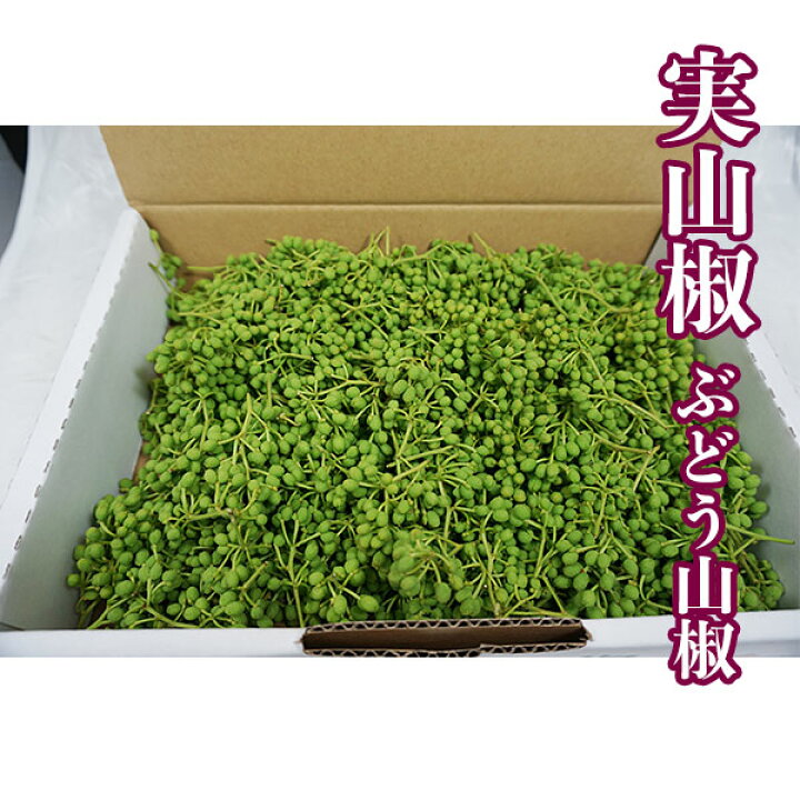 楽天市場 スパイスの郷 Tosa 実山椒 ぶどう山椒 生 枝付き 葡萄山椒 房付き５００ｇ 5月中旬頃より順次発送開始 山椒の実 青山椒 青実 生山椒 産地直送 高知県産 森徳蔵楽天市場店