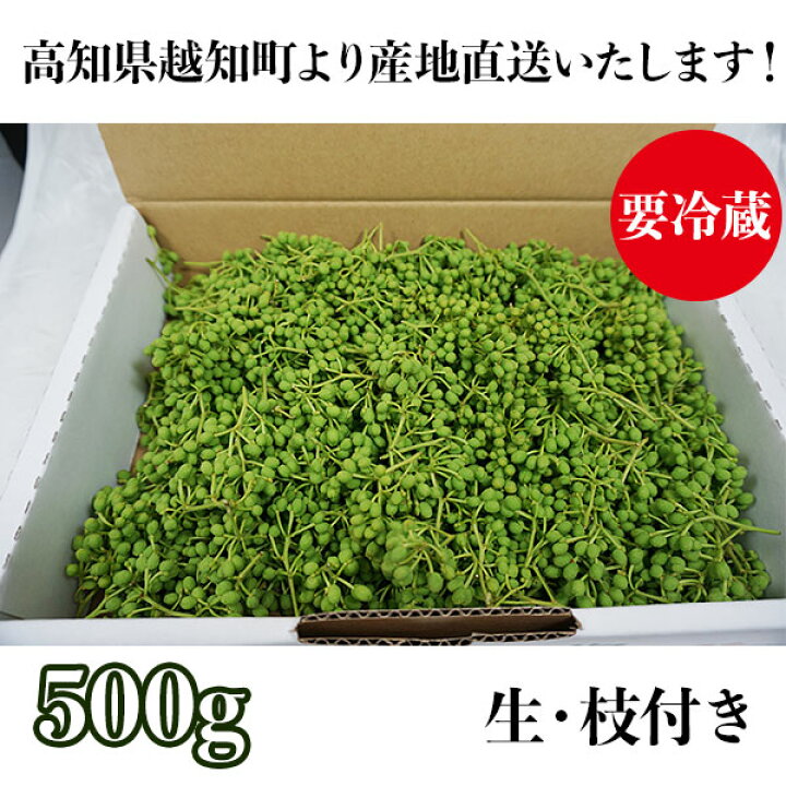 実山椒 生 スパイスの郷 枝取り済 山椒の実 Tosa 高知県越知