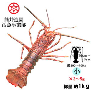 VR  ÿɐCV | ESTCYi200`400gj×3`5 dʖ1kg yp N[ ł͂ mYVRCZGr