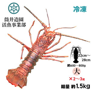 Ⓚ VR ÿɐCV | ELTCYi600`800gj×2`3 dʖ1.5kg yp N[ Ⓚł͂ mYVRCZGr