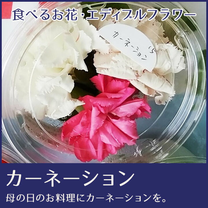 楽天市場 食べるお花 エディブルフラワー よしむら農園 カーネーション 1輪 食用花 料理 パーティー 高知 冷蔵便 森徳蔵楽天市場店 楽天市場 食べるお花 エディブルフラワー よしむら農園 カーネーション 1輪 食用花 料理 パーティー 高知 冷蔵便 森徳蔵楽天市場店