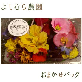 100 Epic Bestナスタチウム 食用 最高の花の画像 100 Epic Bestナスタチウム 食用 最高の花の画像