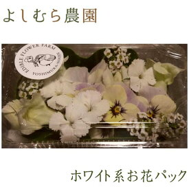 【食べるお花・エディブルフラワー よしむら農園】ホワイト系お花パック /冷蔵便/食用花 料理 パーティー 高知