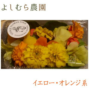 yHׂ邨ԁEGfBut[ 悵ނ_zCG[EIWnԃpbN /①/Hp  p[eB[ m