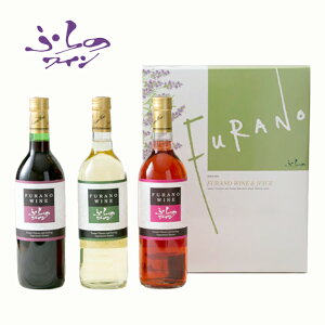 ӂ̃C3{Zbg F-35 720ml×3{ YC kC xǖ샏C n 蕨 yY Ԃ a j Ε Ε j  NX}X v[g