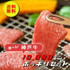 【送料無料】選べる神戸牛1万円ポッキリセットお好きな組み合わせをお選び下さい。一万円ポッキリで神戸牛がたっぷり食べられる！【送料無料(北海道・沖縄・離島は送料1000円)食品 精肉・肉加工品 牛肉 セット・詰め合わせ】