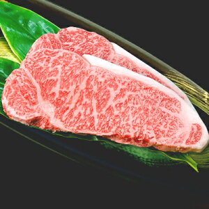 _˃Cr[t T[CXe[L 180g×2i①jyMtg  _˃Cr[tzHi EHi  T[C