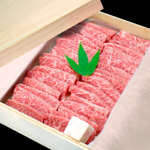 _ˋ Jrē 600gi①j˔yMtg  _˃r[t _˓zHi EHi  oEJrz