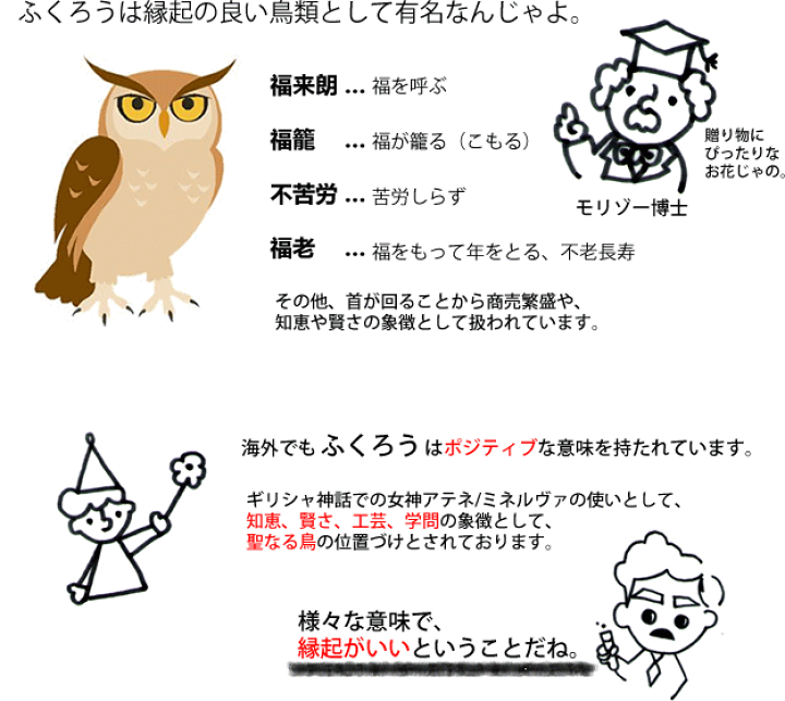 楽天市場 ふくろうが２羽いるアレンジメント 福を呼び込む縁起物の花のギフト ふくろう お祝い フラワーギフト ギフトの花屋 Moriya
