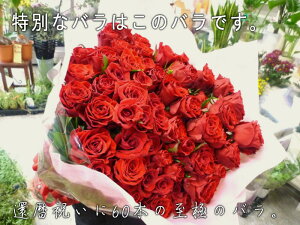 生花 花束 60本 生花の人気商品 通販 価格比較 価格 Com