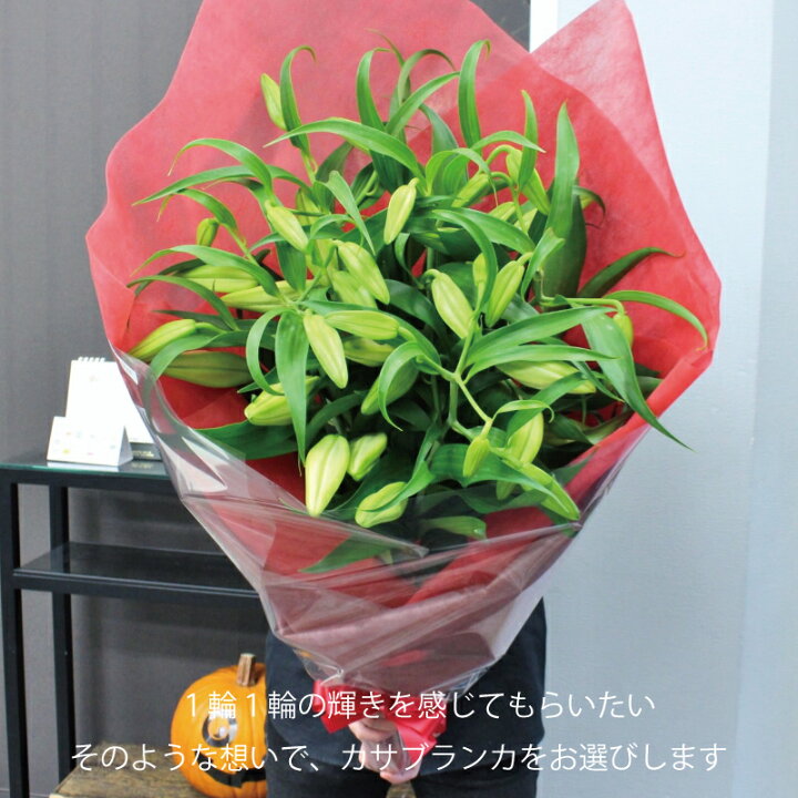 楽天市場】最高級大輪カサブランカ5本の花束☆MORIYAが自信を持ってお勧めする白ユリの女王。本当のカサブランカです。【フラワーギフト】【ユリ】【 カサブランカ】【お祝い】【お供え】 : ギフトの花屋 moriya 楽天市場】最高級大輪カサブランカ5本の花束☆MORIYAが自信を持ってお勧めする白ユリの女王。本当のカサブランカです。【フラワーギフト】【ユリ】【 カサブランカ】【お祝い】【お供え】 : ギフトの花屋 moriya