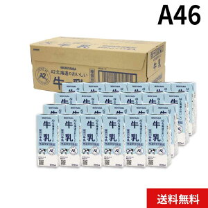 MORIYAMA ~ Mtg A46 A2kĈ 200ml 24{ 퉷ۑ  pbN pbN OCt LL a2 Y kCY {A2~NF Ε  N l