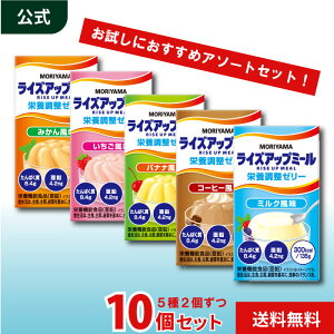 【お試し 10本アソートセット】 MORIYAMA ライズアップミール 栄養調整ゼリー アソート 10個セット 135g 125ml 栄養機能食品 高カロリー デザート 介護食 栄養補助食品 介護ゼリー 常温保存 送料無