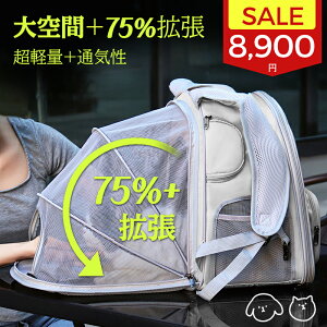 yN[| 8900~Iz ybgL[ L bN ybgL[obO ^ ^ ybgbN g L  bNs a@ ʉ@ o y ЊQ 