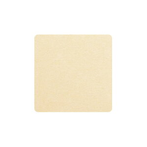 yĝĐHzR[X^[ BEER np 1mm(2000)ysz