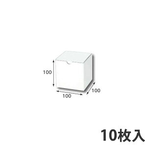 yz t[BOX F-1 100×100×100 (50) Mtg{bNX _{[ i{[ p  