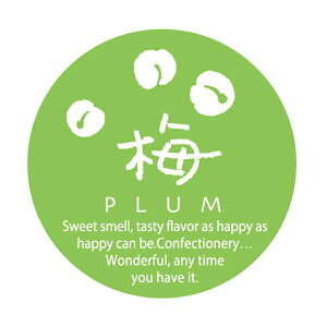 yV[z ~jxی^~V[ G-731 25×25(mm) 732031 (200)