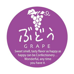 yC[OXӍՃGg[Ń|Cg5{IBLACK FRIDAY11/20zyV[z ~jxی^ԂǂJV[ G-737 25×25(mm) 732037 (200)