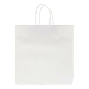 【紙袋】 オートバッグ 3号 90005200